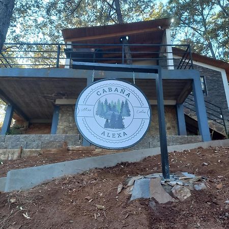 Cabana "Alexa", En El Corazon Del Bosque De 마자미틀라 외부 사진