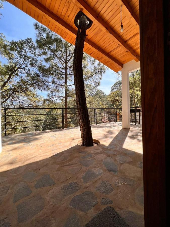 Cabana "Alexa", En El Corazon Del Bosque De 마자미틀라 외부 사진