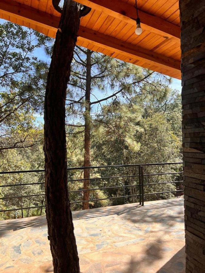 Cabana "Alexa", En El Corazon Del Bosque De 마자미틀라 외부 사진