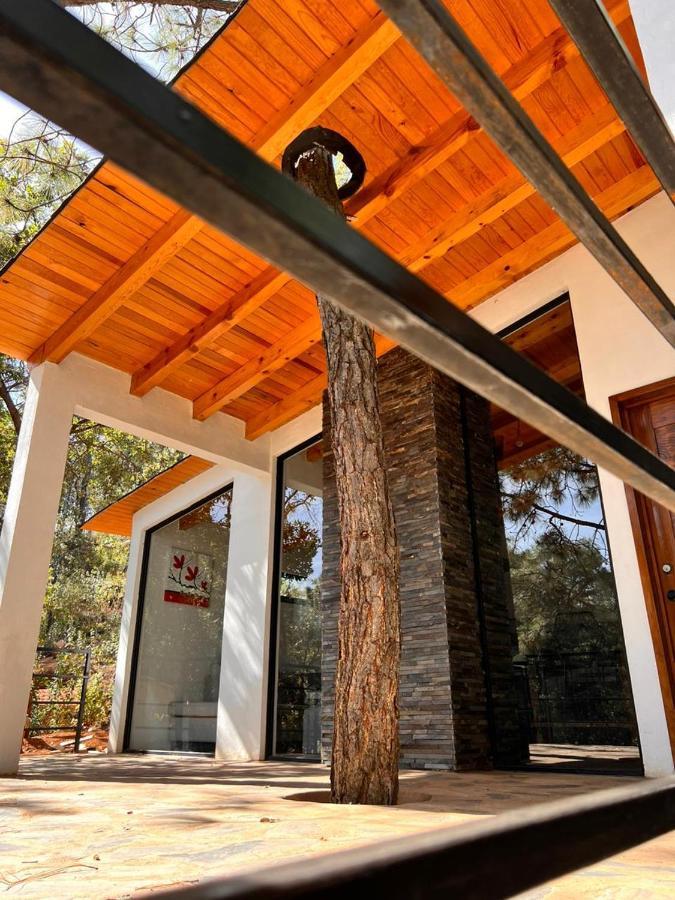 Cabana "Alexa", En El Corazon Del Bosque De 마자미틀라 외부 사진