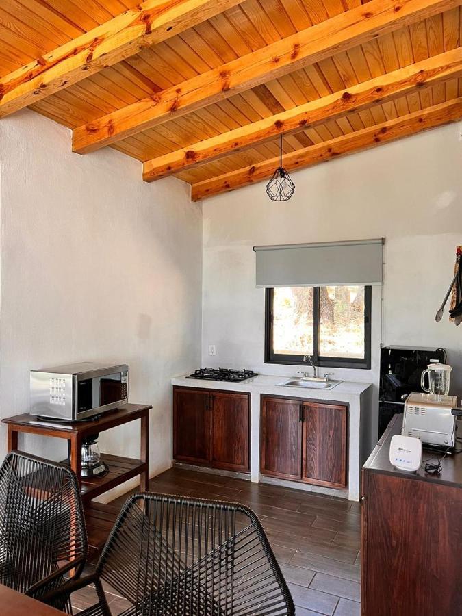 Cabana "Alexa", En El Corazon Del Bosque De 마자미틀라 외부 사진