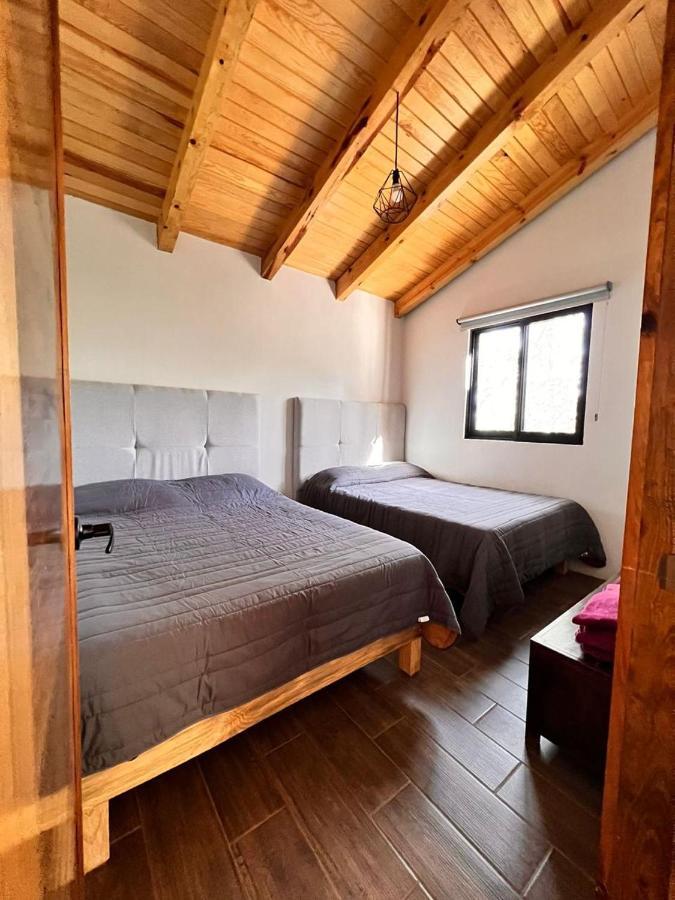 Cabana "Alexa", En El Corazon Del Bosque De 마자미틀라 외부 사진