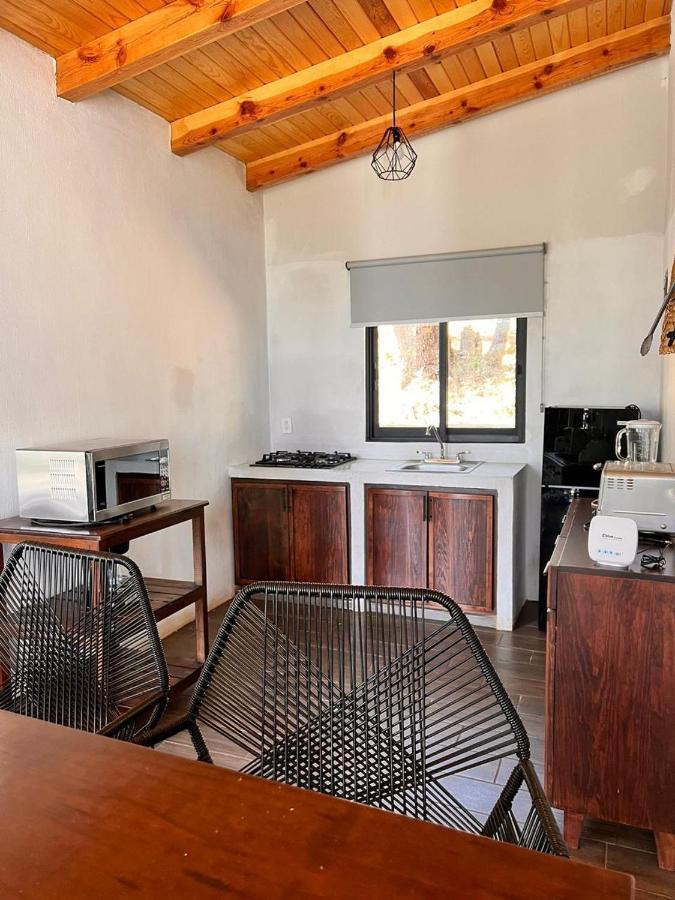 Cabana "Alexa", En El Corazon Del Bosque De 마자미틀라 외부 사진