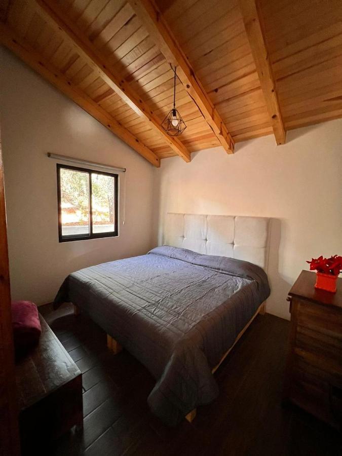 Cabana "Alexa", En El Corazon Del Bosque De 마자미틀라 외부 사진