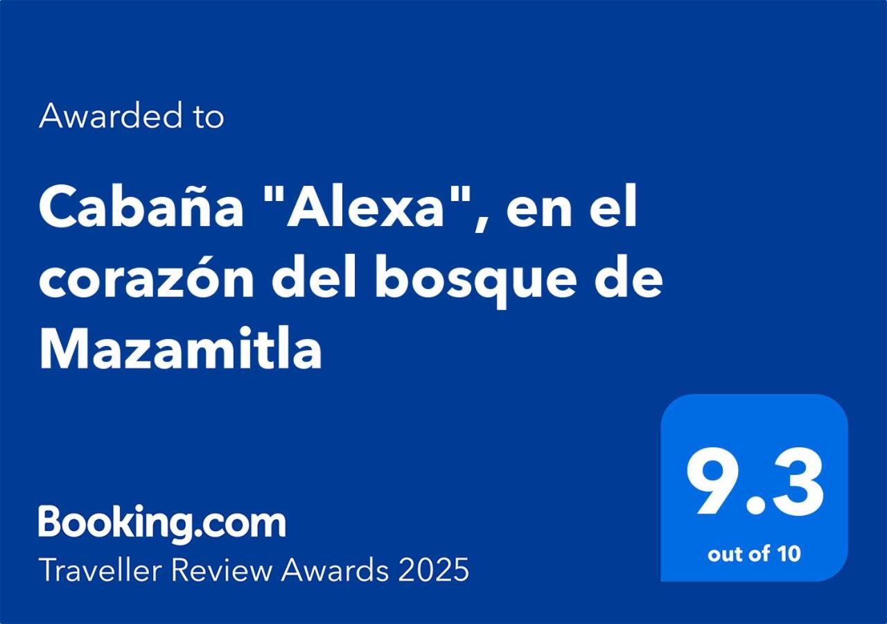 Cabana "Alexa", En El Corazon Del Bosque De 마자미틀라 외부 사진
